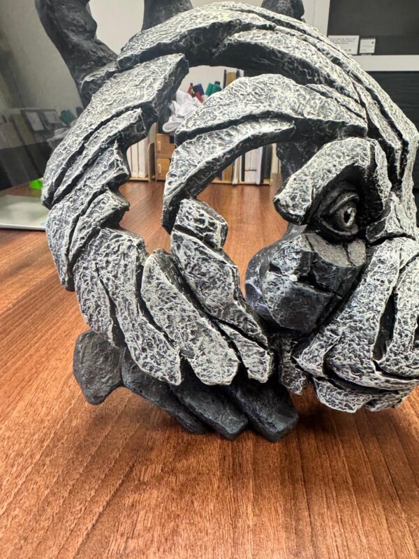 Panda Bust - EDB08 - Pre Owned - Image 3