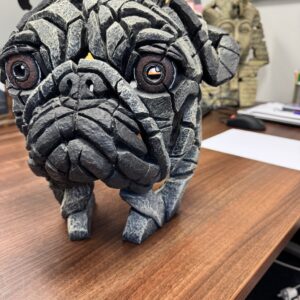 Edge Sculpture Pug Bust - Retired - Pre Owned EDB17